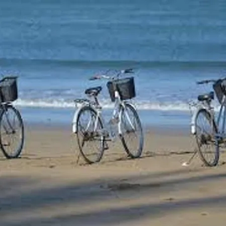 Appartement T3 Au Centre D'arcachon Avec Terrasse, Parking Et Wi-fi - Fr-1-374-181 *