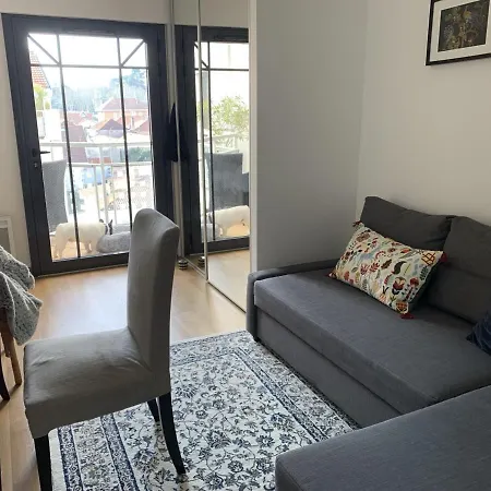 Apartment T3 Au Centre D'arcachon Avec Terrasse, Parking Et Wi-fi - Fr-1-374-181 Arcachon