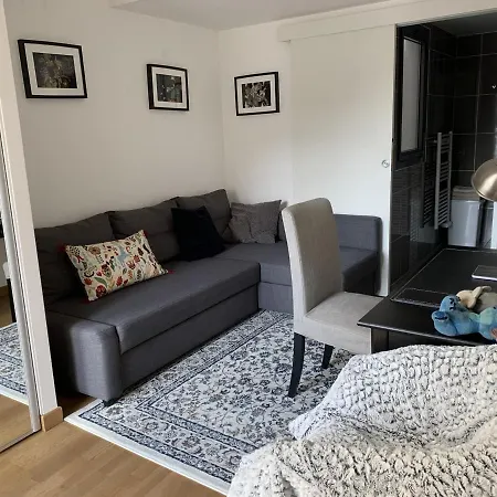 T3 Au Centre D'arcachon Avec Terrasse, Parking Et Wi-fi - Fr-1-374-181 *