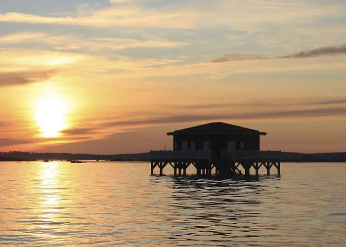 דירה T3 Au Centre D'arcachon Avec Terrasse, Parking Et Wi-fi - Fr-1-374-181